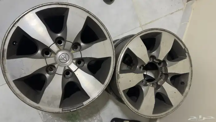 جنوط فورتشنر 0