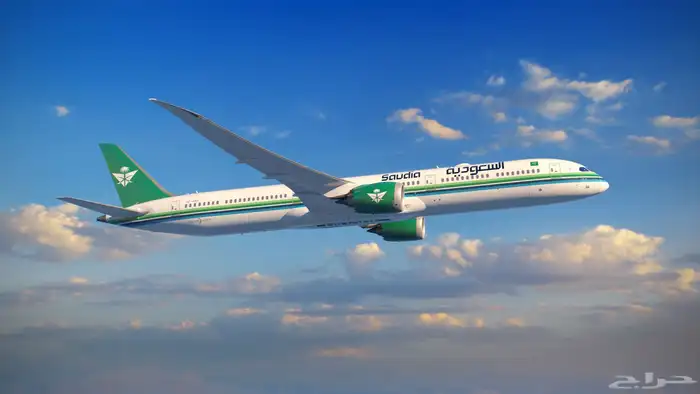 تذكره طيران باسمك 0