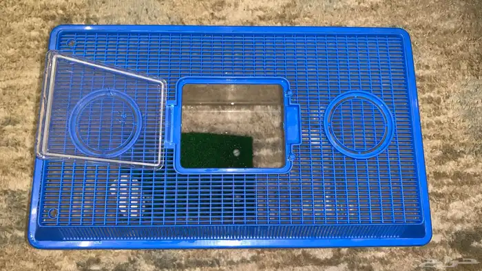 سلحفاة برمائية (ريد إير سلايدر) 1