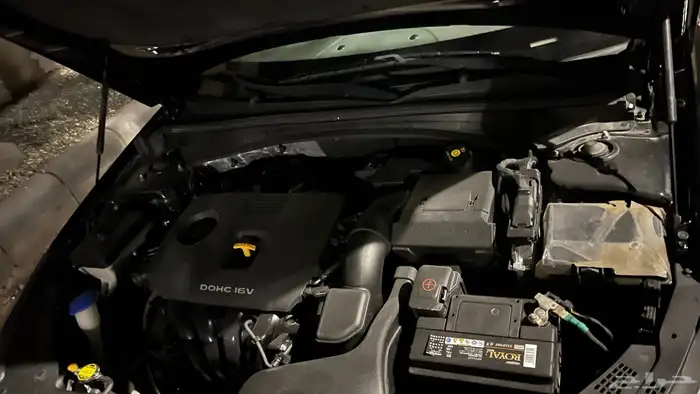 اوبتيما 2018 ممشى 100 29