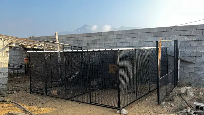 شبك او صندقه 1