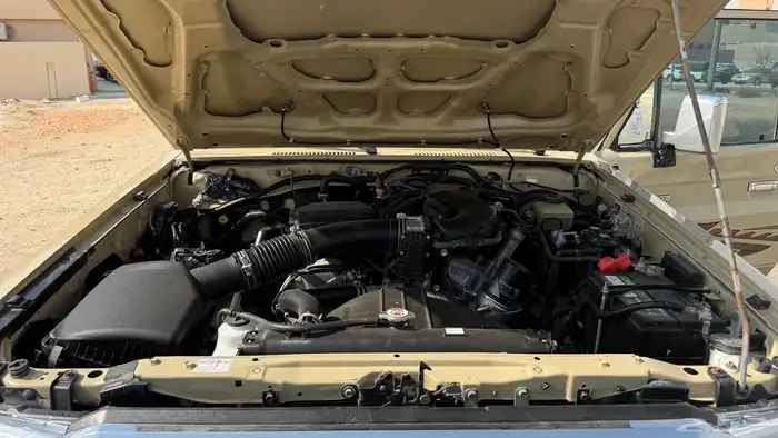 شاص 2019 فل كامل دبل دفلك 2