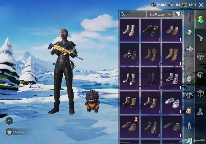 حساب ببجي 21