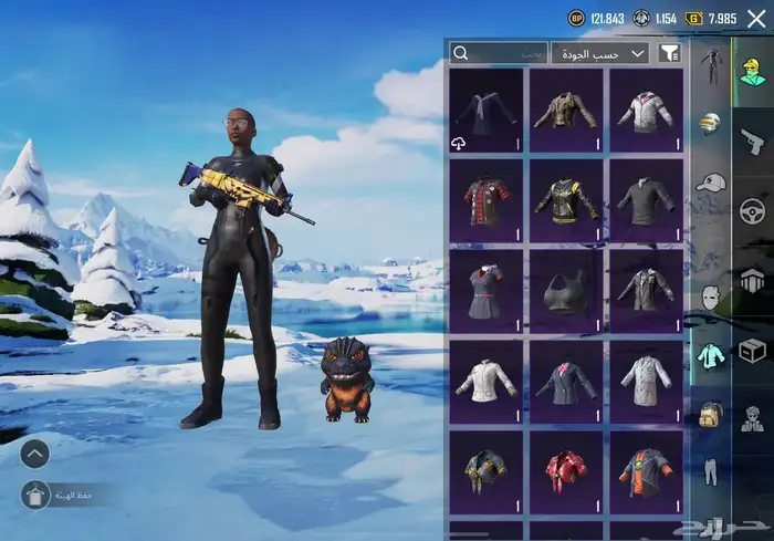 حساب ببجي 13