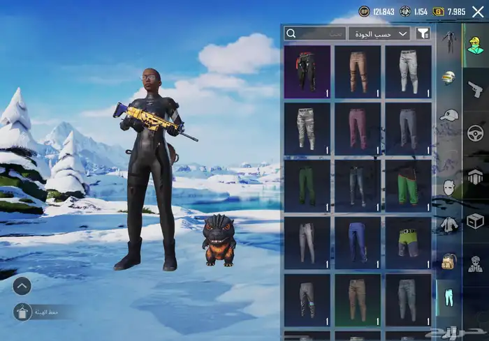 حساب ببجي 17