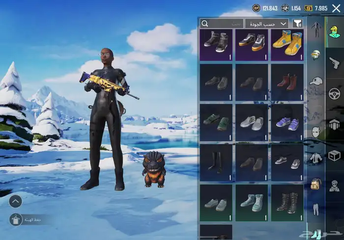 حساب ببجي 10