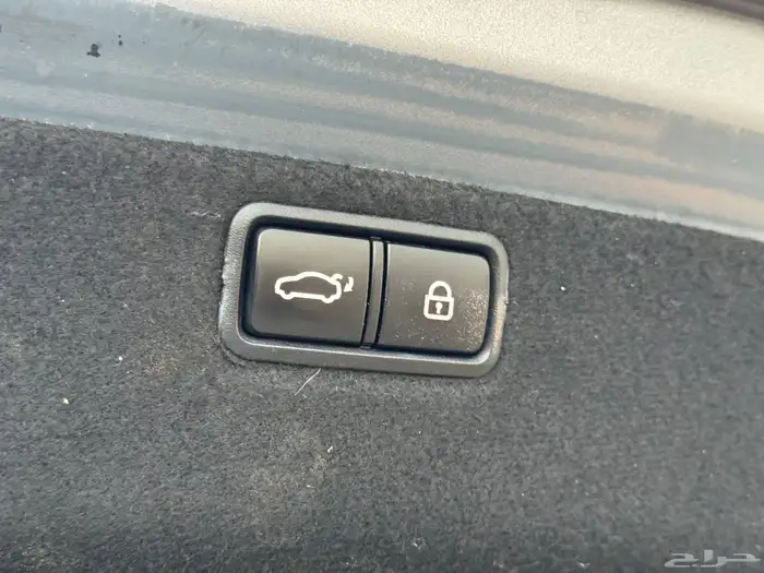 جنسس 2018 -G80 33