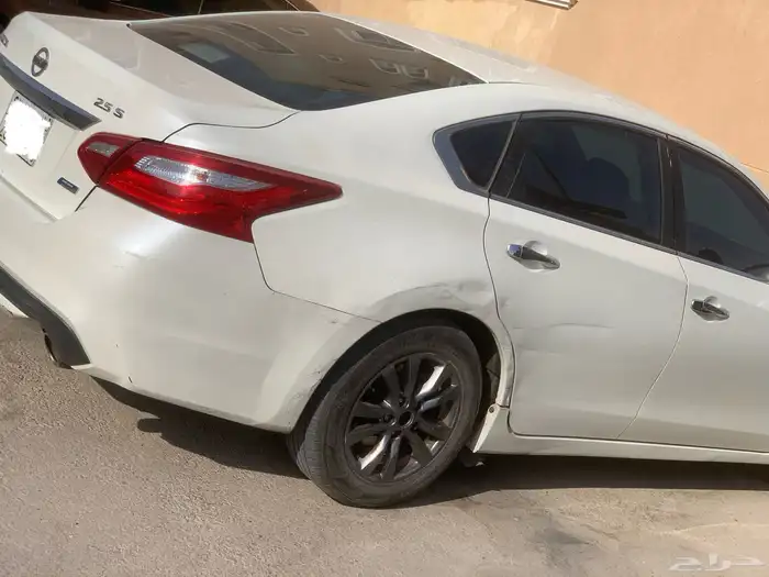 التيماء 2017 1