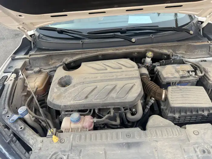 شانجان_Uni_T_2023_بدي وكاله 45