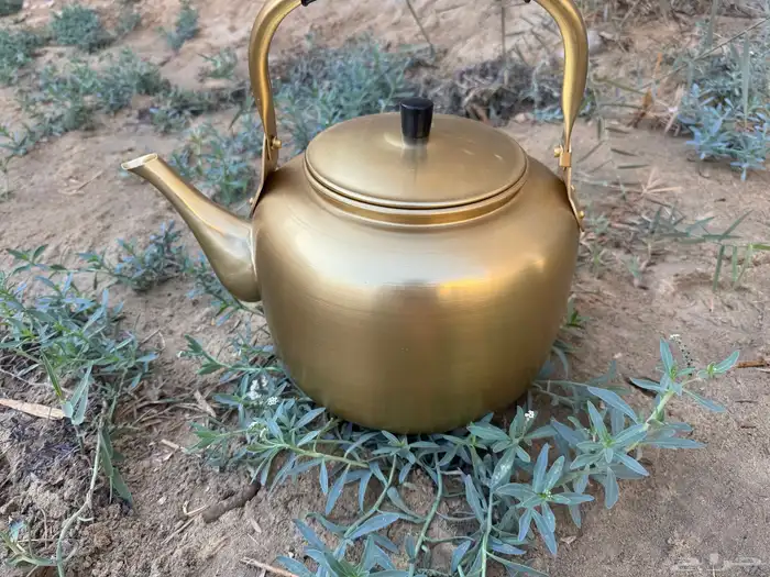 فود ترك  مقطوره   عربه متنقله 23