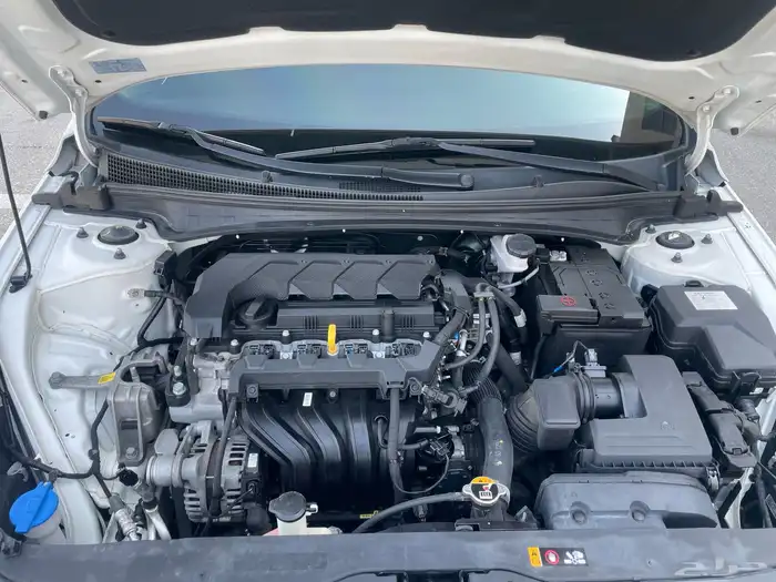 النترا 2021 وارد كوريا - شاشة - ممشى قليل 25