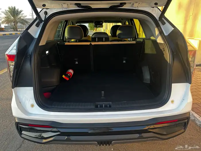 جيلي ستار راي 8