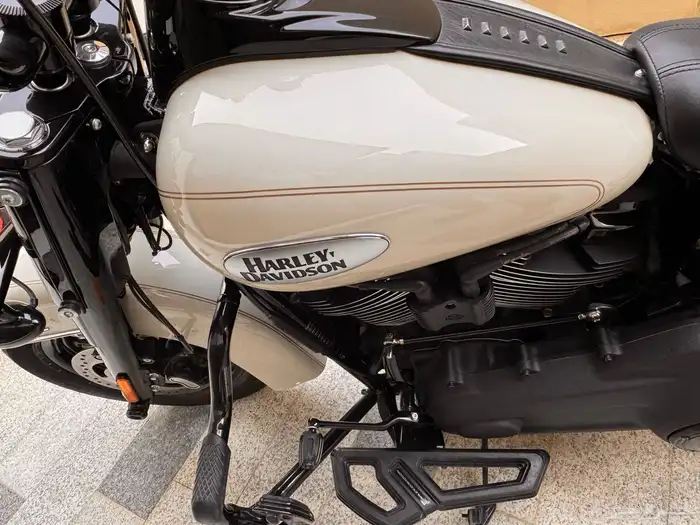 دباب هارلي هيرتج 2022 2