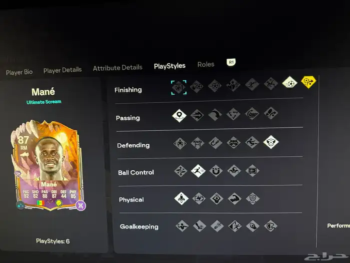 حساب فيفا 26 6