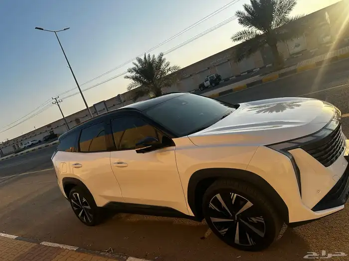 جيلي ستار راي 1