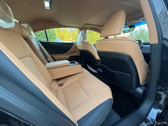 جنسس 2018 -G80 30