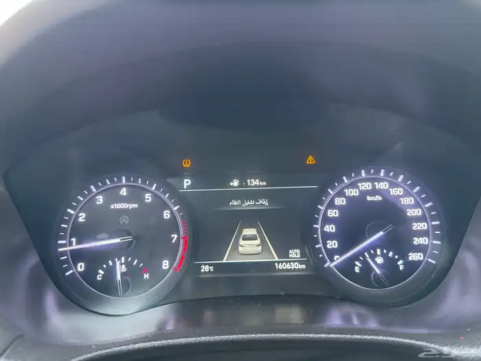 جنسس 2018 -G80 17