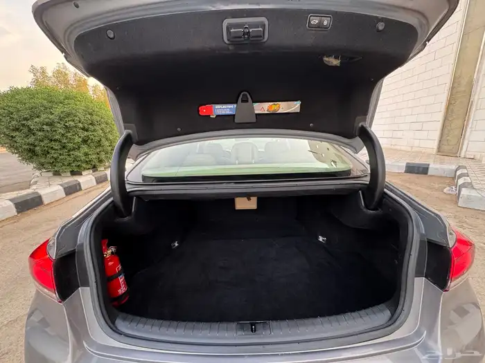 جنسس 2018 -G80 32