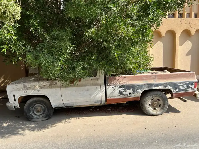 جمس سايرا قراند 0