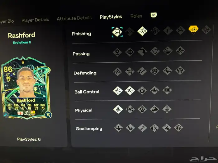 حساب فيفا 26 10