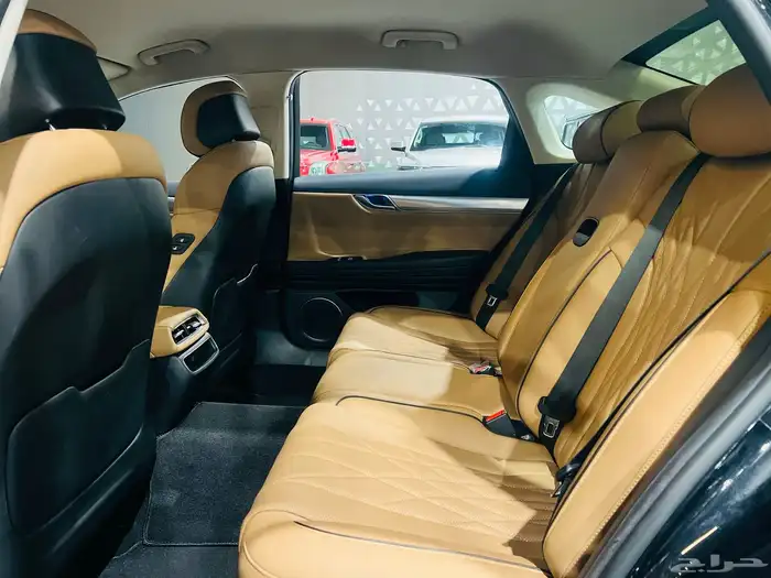 جنسس G80 2021 بلاتينيوم ( عرض خاص ) 13