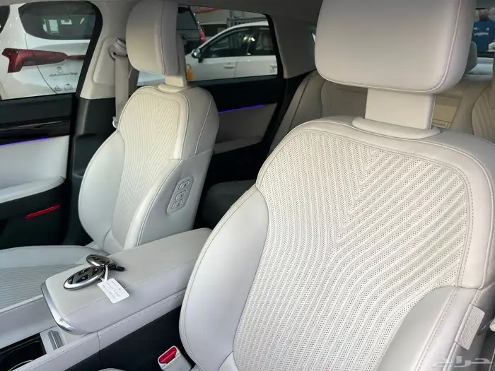 هيونداي ازيرا 2023 فل كامل كاليجرافي ( بروجكتر ) 17