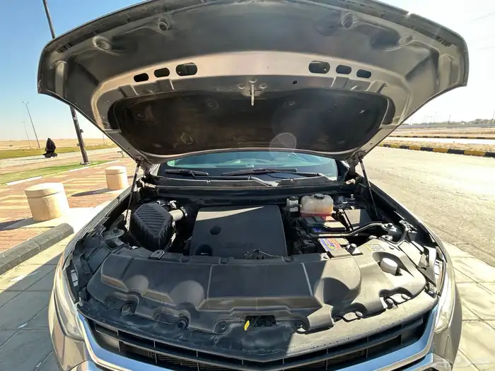 ترافيرس صبغ الوكاله ومشروط 2019 12