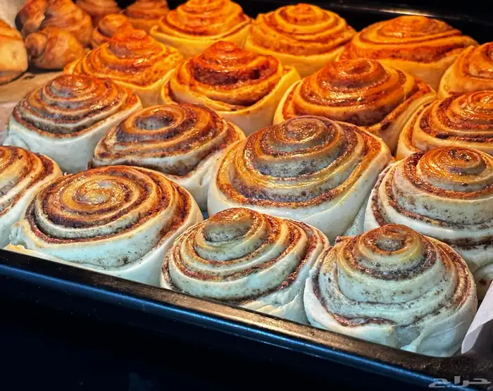 سينابون شغل يومي لطلب قبل بيوم 1