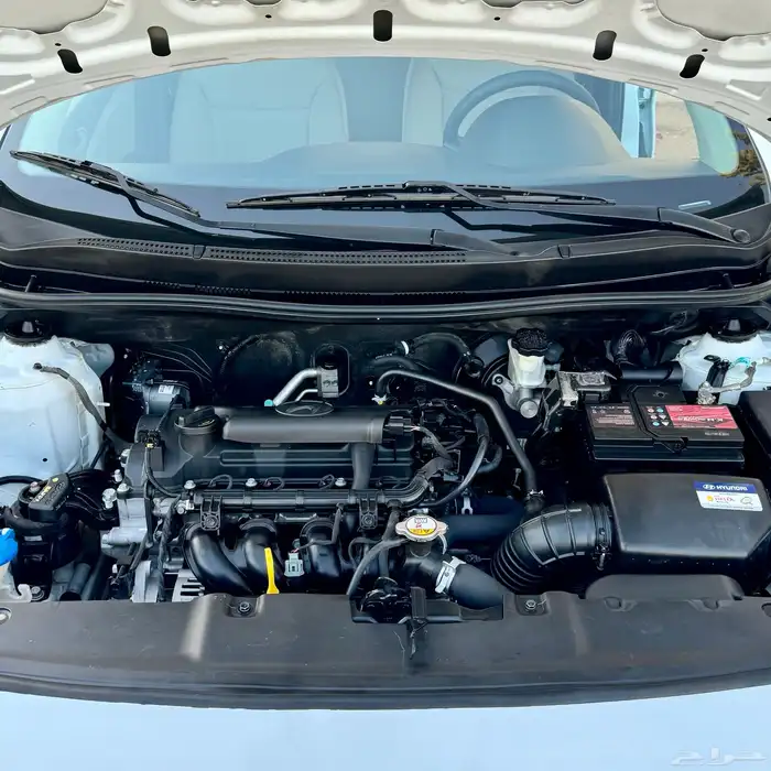 اكسنت 2017 ( الناغي ) 23