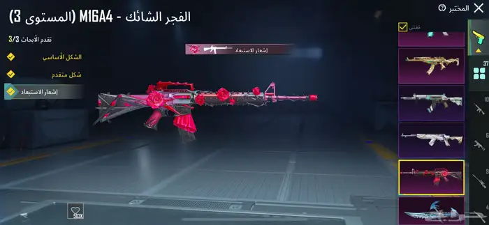 حساب ببجي 17