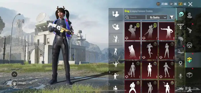 حساب ببجي 55