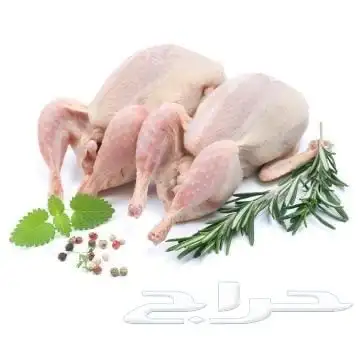 حمام بلدي طازج 0