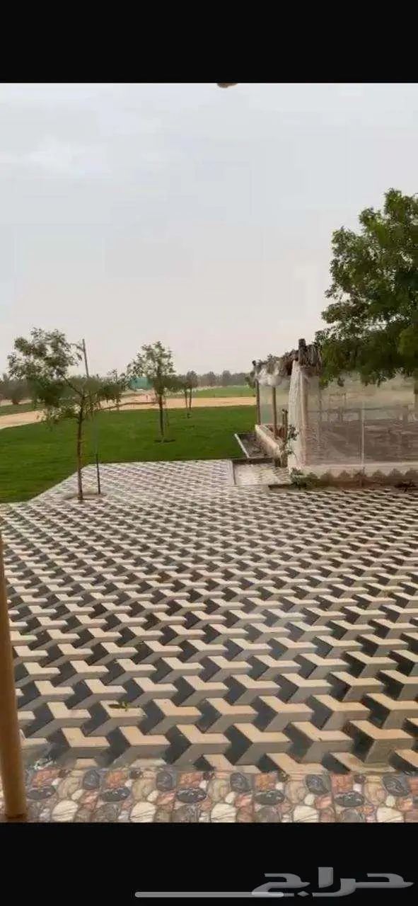 للبيع مزرعة في مخطط الشرافي 50 الف فرصة القي نظره 0