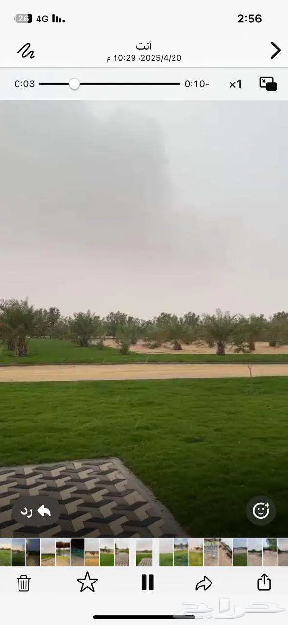 للبيع مزرعة في مخطط الشرافي 50 الف فرصة القي نظره 1