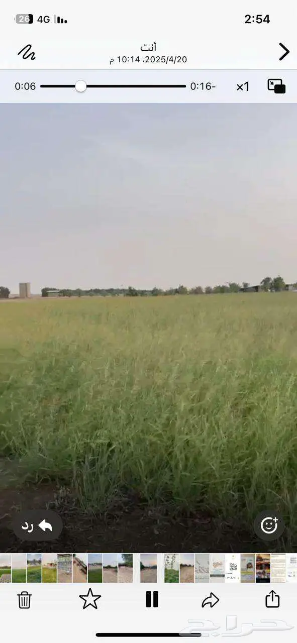 للبيع مزرعة في مخطط الشرافي 50 الف فرصة القي نظره 2