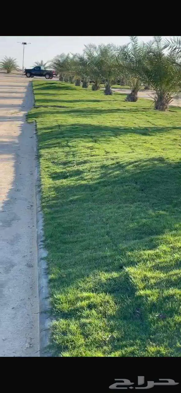 للبيع مزرعة في مخطط الشرافي 50 الف فرصة القي نظره 3