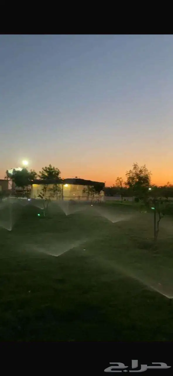 للبيع مزرعة في مخطط الشرافي 50 الف فرصة القي نظره 4