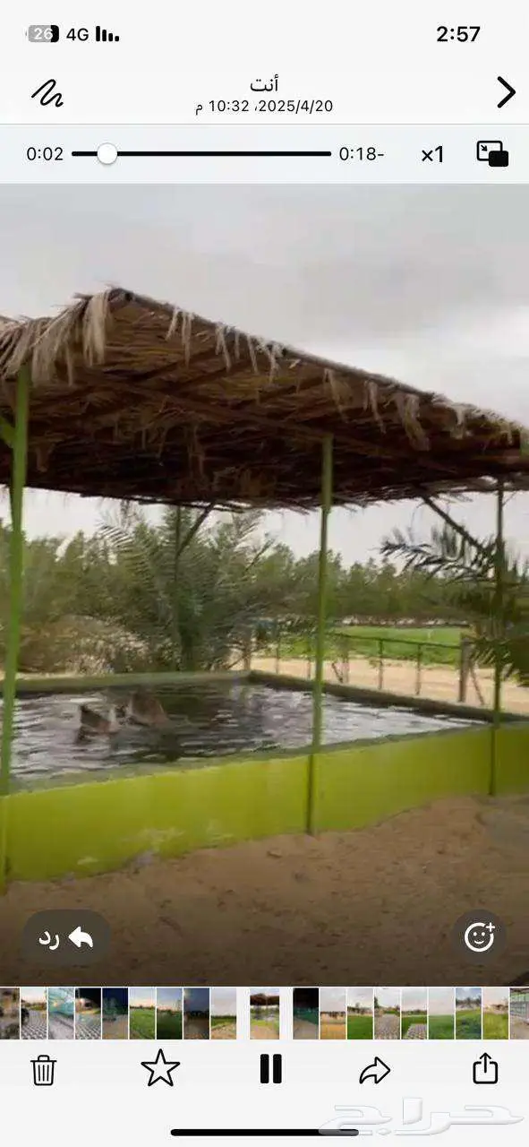 للبيع مزرعة في مخطط الشرافي 50 الف فرصة القي نظره 5