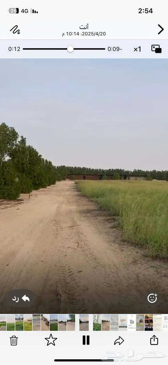 للبيع مزرعة في مخطط الشرافي 50 الف فرصة القي نظره 8