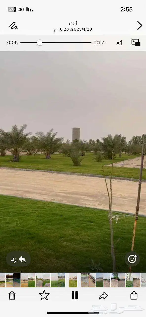 للبيع مزرعة في مخطط الشرافي 50 الف فرصة القي نظره 9