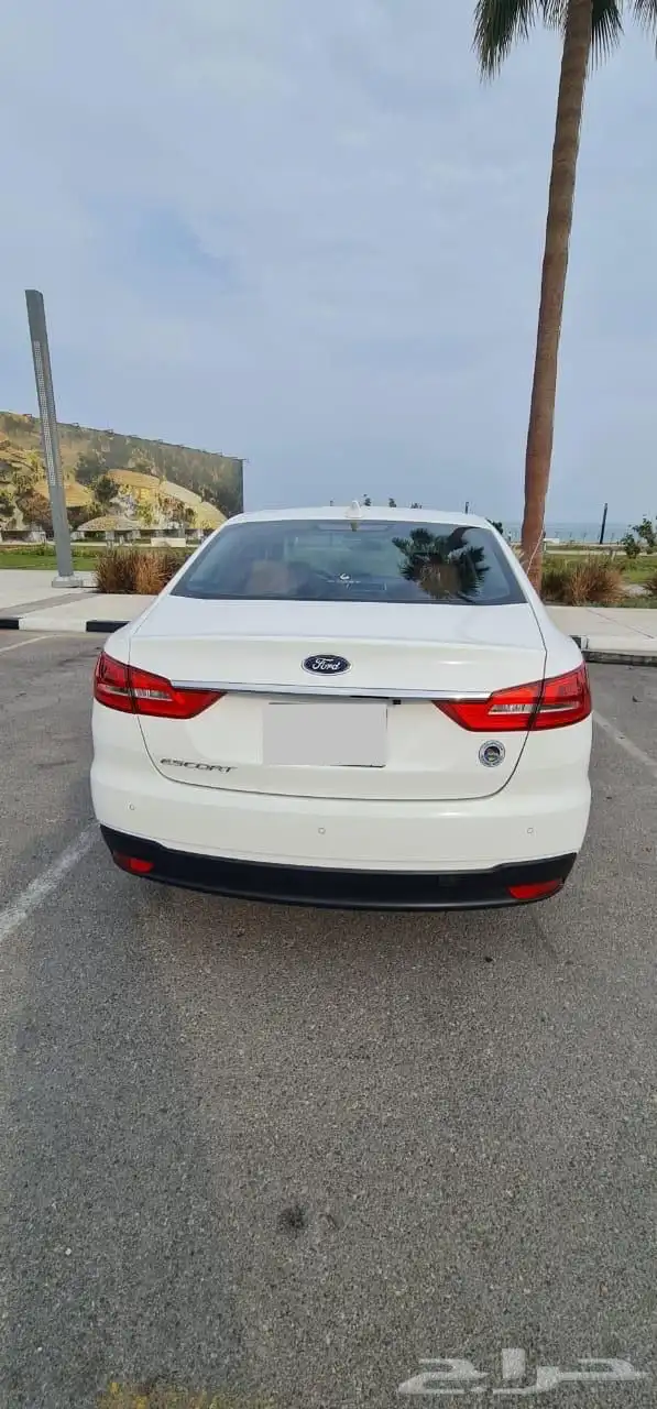 فود إسكورت 2020 شرط - توكيلات الجزيرة 8