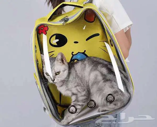 للبيع شنطة قطط للتنقل 1