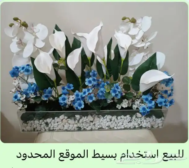 حوض ورد للأستقبال 0