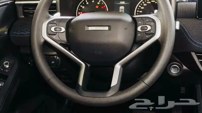 هافال جوليان 2025 خليجي 20