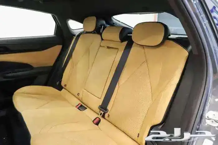 شانجان يونى فى 2026 12