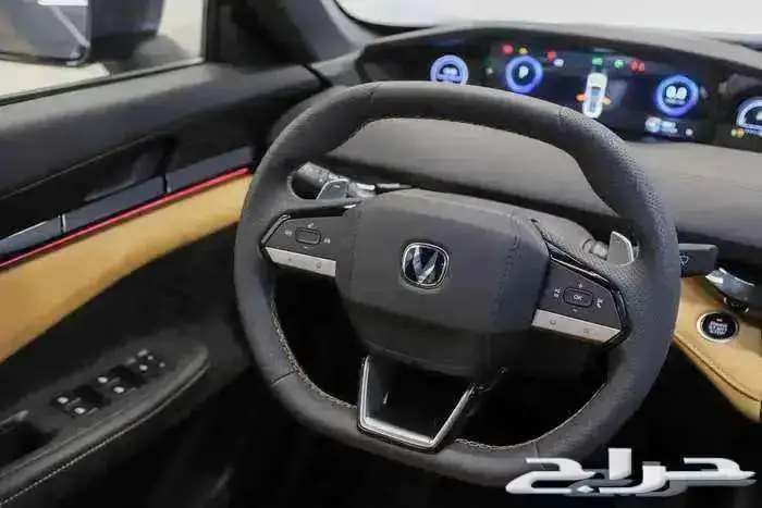 شانجان يونى فى 2026 4