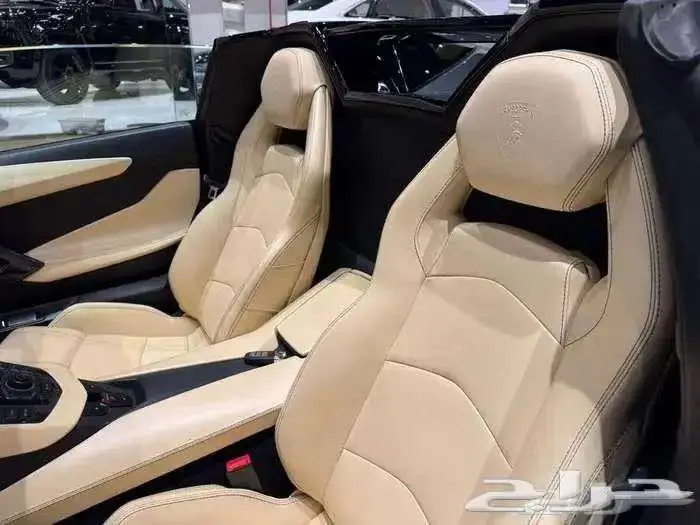 لامبورجيني رودستر اس 2019 4