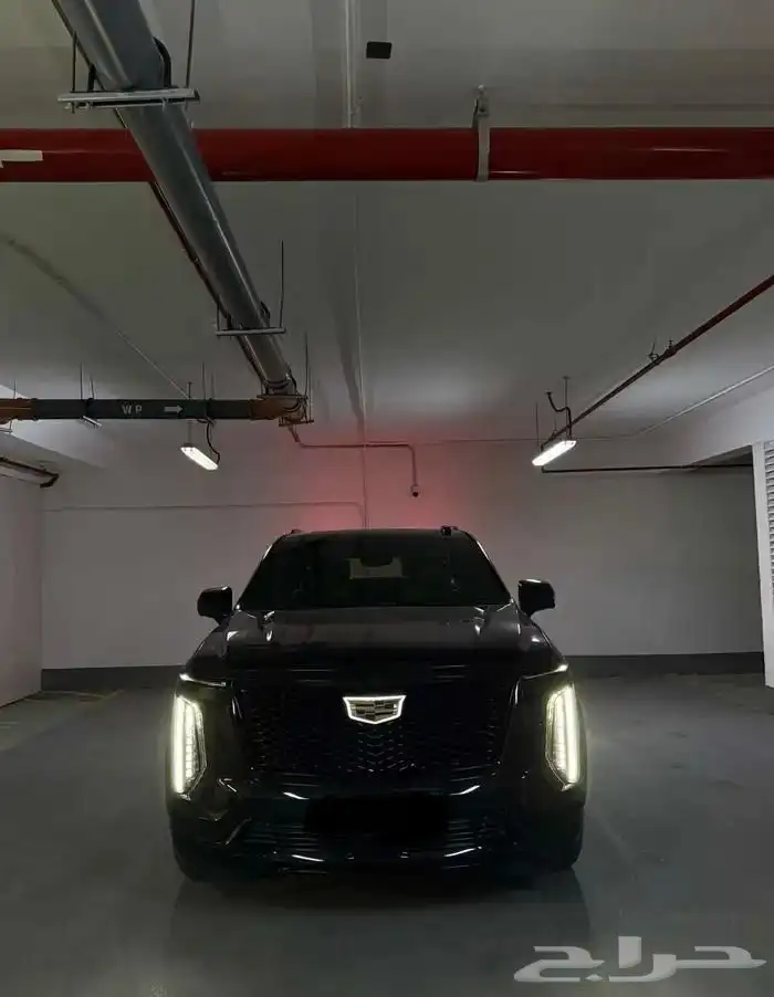 اسكاليد الجميح 2025 4