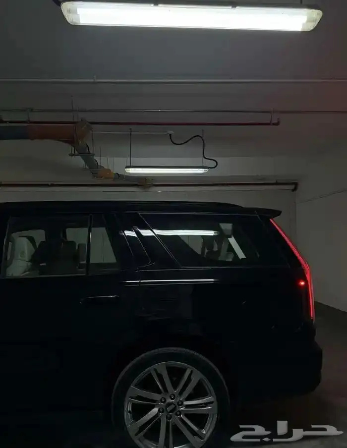 اسكاليد الجميح 2025 3