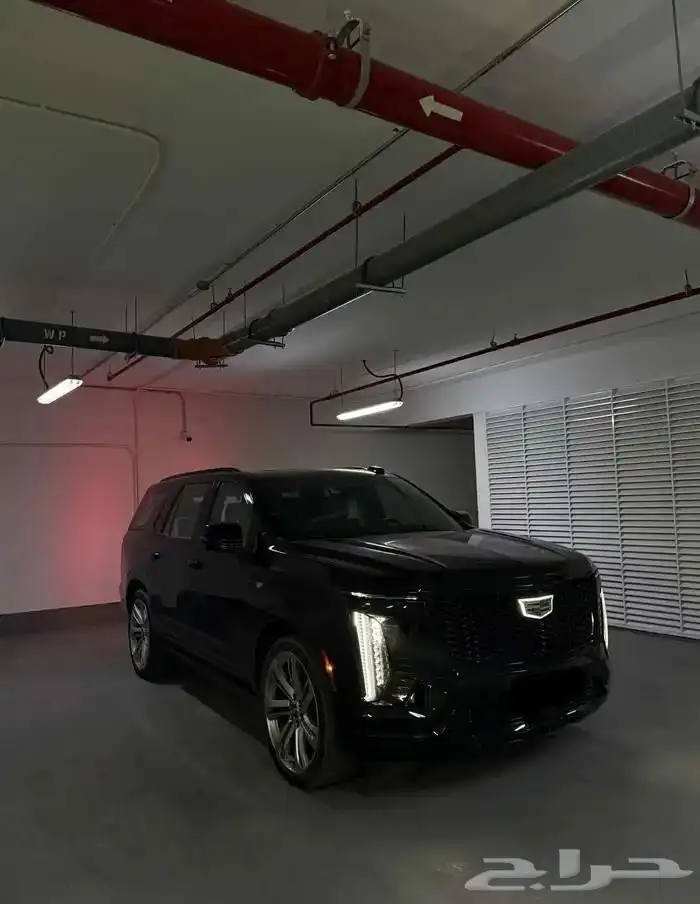 اسكاليد الجميح 2025 1